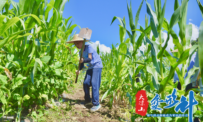 變形計(jì)之干農(nóng)活
