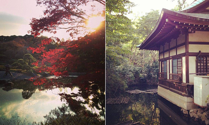 日本個人游學(xué).jpg