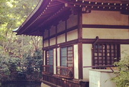 去東京游學(xué)把學(xué)習(xí)和旅行融為一體