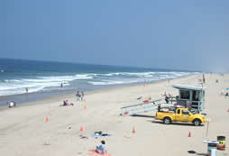 孩子參加日本游學(xué)感受有哪些？