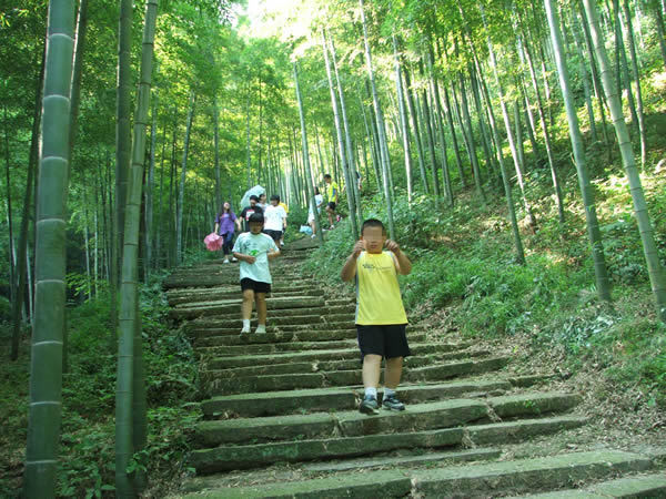 科學運動減肥夏令營