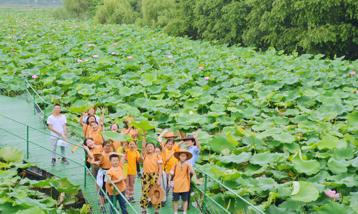 江蘇夏令營多少錢