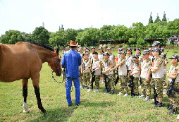 江蘇軍事夏令營(yíng)價(jià)格