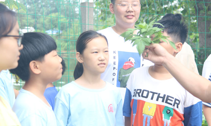 江蘇研學冬令營推薦