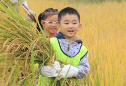 參加江西撫州少年夏令營培養(yǎng)孩子的生存能力