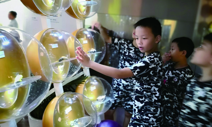贛南軍旅夏令營少年軍校