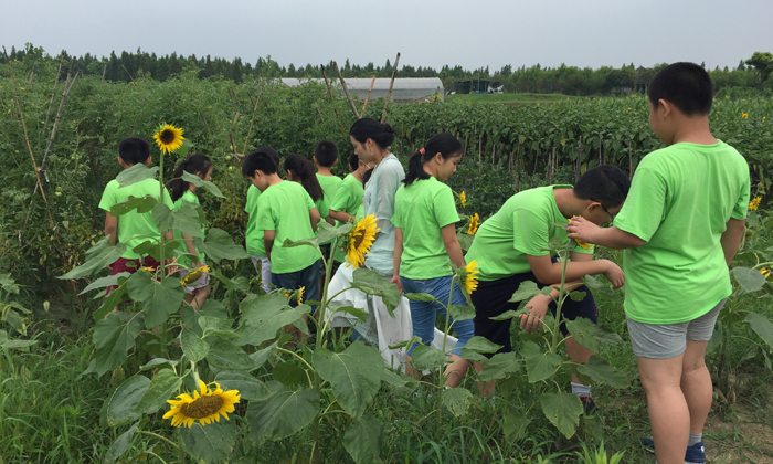 焦作自然探索夏令營(yíng)可以給孩子帶來的好處有哪些？.jpg