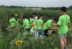 焦作自然探索夏令營可以給孩子帶來的好處有哪些？
