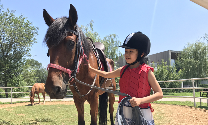 國慶馬術(shù)夏令營