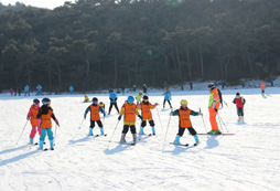 寒假參加五天滑雪冬令營的收獲