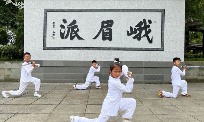 峨眉武術(shù)夏令營