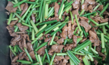 濟(jì)南軍事夏令營的食宿好嗎？