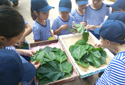 參加景德鎮(zhèn)研學(xué)夏令營去戶外磨礪孩子