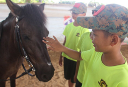 金華戶外拓展夏令營有哪些活動內(nèi)容？