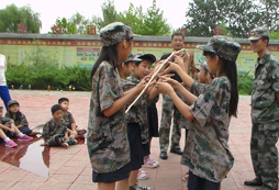 團(tuán)隊(duì)的力量