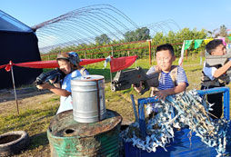 國內(nèi)的好的軍事夏令營有哪些？