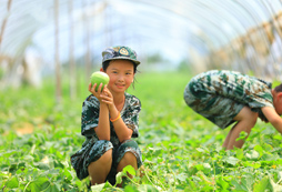 參加10天軍事夏令營去哪報名，五大熱門活動推薦