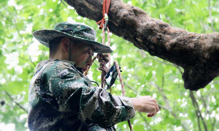 參加軍事夏令營的好處