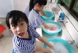 菁英樹教育內(nèi)容有哪些？