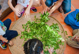 參加科學自然夏令營掌握獨立生存技能！