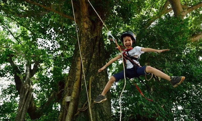 在大自然中鍛煉自己的膽量