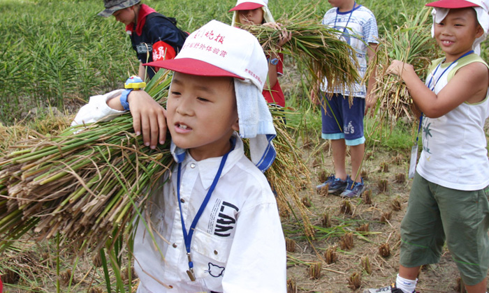 自然生態(tài)多元化體驗