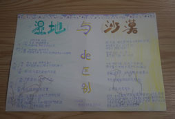 濕地與沙漠的區(qū)別