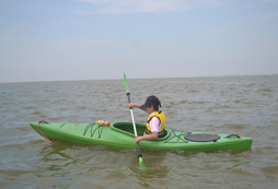 輕松快樂的劃船