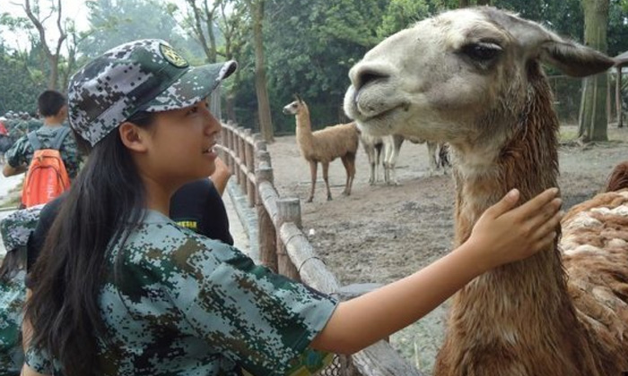 有趣的夏令營活動
