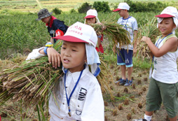 自然生態(tài)多元化體驗(yàn)
