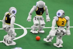 庫爾勒軍事夏令營