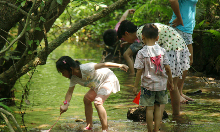 親子活動(dòng)有哪些亮點(diǎn)