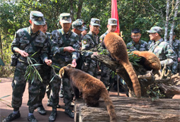 2024昆明口碑不錯的軍事夏令營培訓(xùn)機(jī)構(gòu)