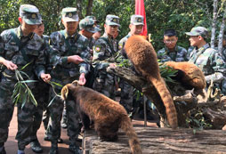 參加昆明兒童軍訓(xùn)夏令營一個讓孩子蛻變的舞臺