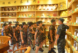 學(xué)習茶文化