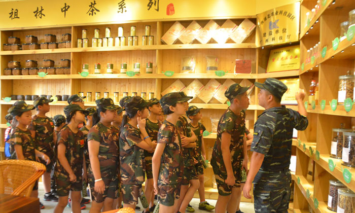 學(xué)習(xí)茶文化