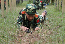 草地匍匐前進(jìn)