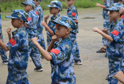  練習(xí)軍體拳