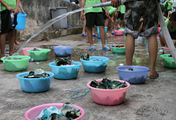 在南寧獵豹特戰(zhàn)夏令營中學(xué)習(xí)洗衣服