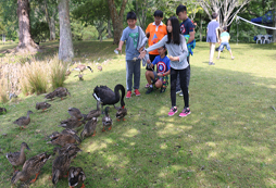 2018夏令營全方面打造孩子的領(lǐng)袖氣質(zhì)