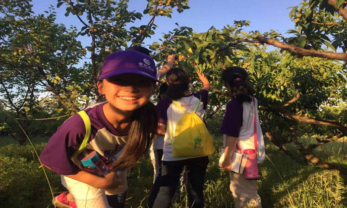 參加勵(lì)志暑假夏令營學(xué)到什么野外生存技能？