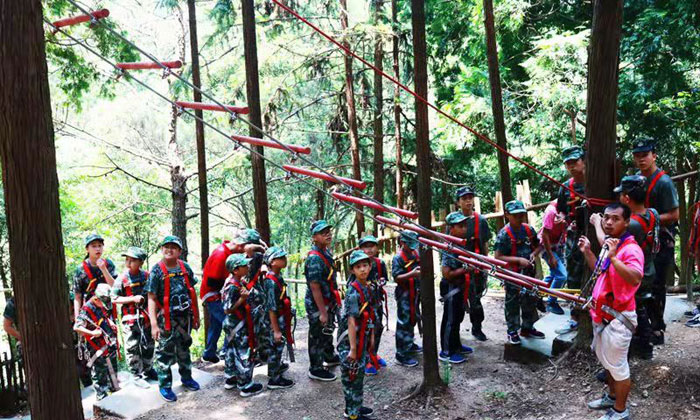 龍巖夏令營課程