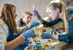 參加六安帆船夏令營(yíng)的花費(fèi)大概多少錢