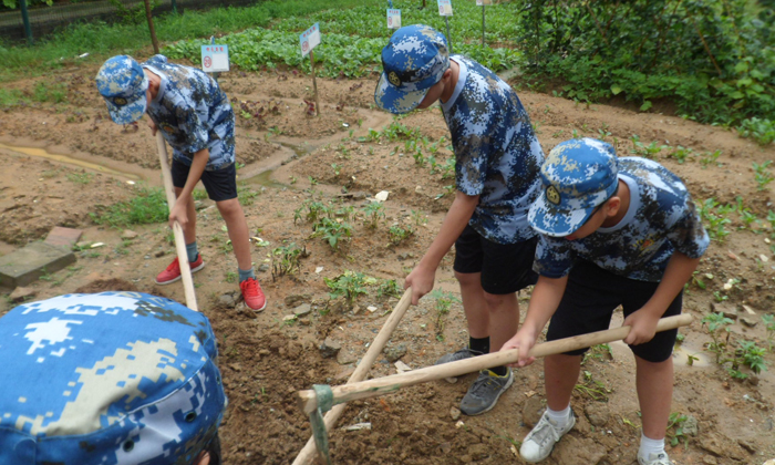 六安軍事夏令營有哪些特色
