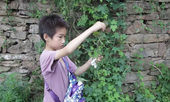 洛陽有哪些兒童夏令營