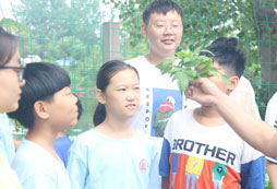 洛陽報名夏令營學費多少？