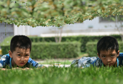 深圳菁英領(lǐng)袖夏令營(yíng)有哪些課程內(nèi)容？
