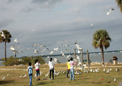 參加法國(guó)藝術(shù)夏令營(yíng)需要帶哪些行李