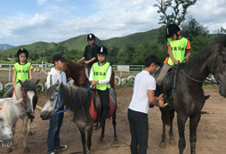 馬術夏令營值不值得孩子參加？