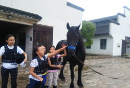 馬術(shù)夏令營(yíng)教你怎樣避免摔下馬